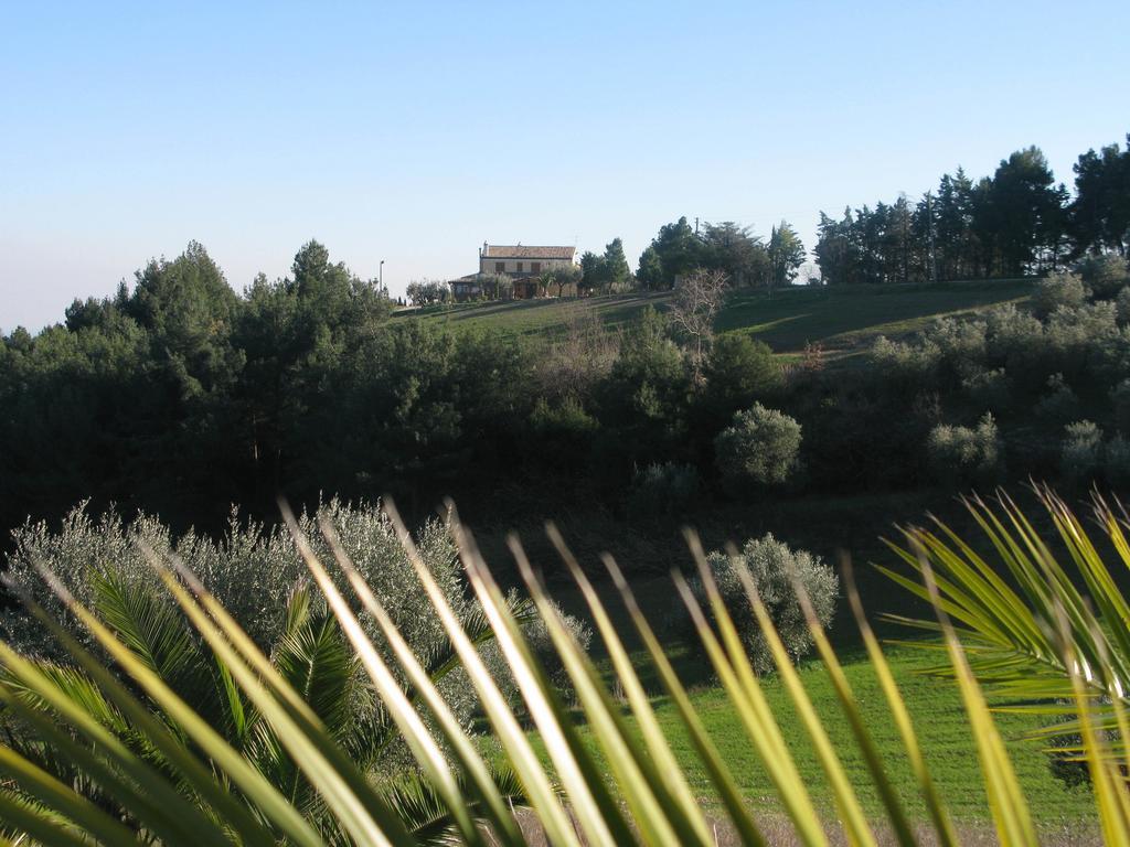 Briciola Di Sole Affittacamere Grottammare Esterno foto
